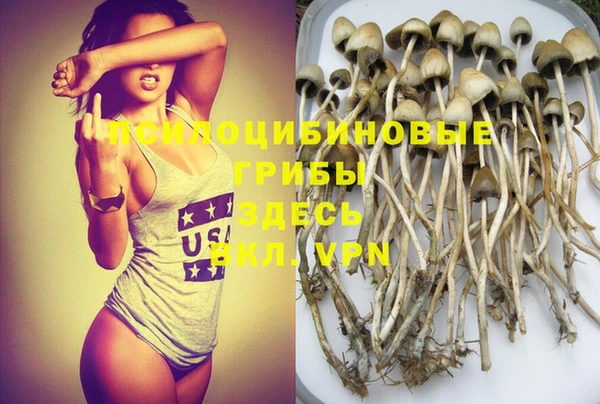 хмурый Абинск