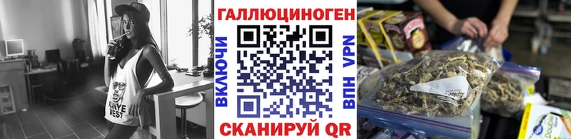 сайты даркнета состав  Камень-на-Оби  Псилоцибиновые грибы ЛСД 