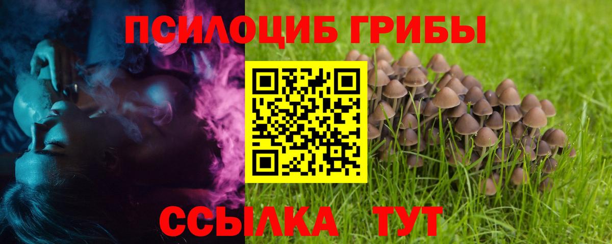 наркотики  Вход с VPN  Камень-на-Оби  Галлюциногенные грибы прущие грибы 