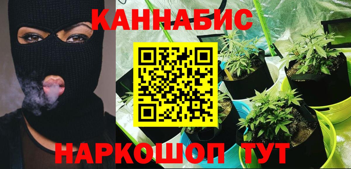 Шишки марихуана планчик  МАРИХУАНА Amnesia  Камень-на-Оби  МАРИХУАНА гибрид  Вход с VPN  Марихуана VHQ 
